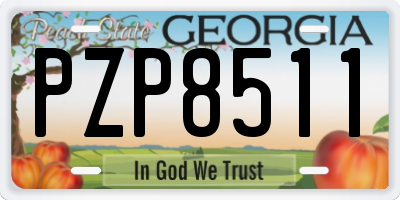 GA license plate PZP8511