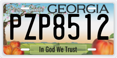 GA license plate PZP8512
