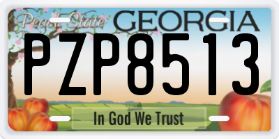 GA license plate PZP8513