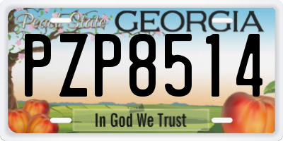 GA license plate PZP8514