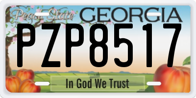 GA license plate PZP8517