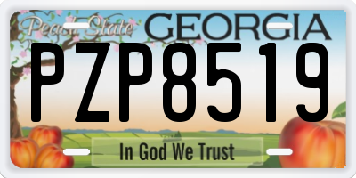 GA license plate PZP8519