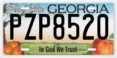 GA license plate PZP8520