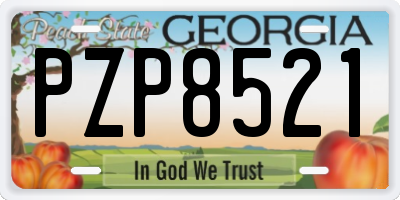GA license plate PZP8521