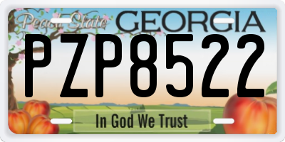 GA license plate PZP8522