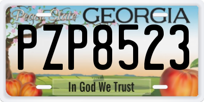GA license plate PZP8523