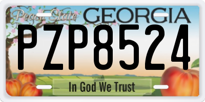GA license plate PZP8524