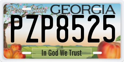 GA license plate PZP8525