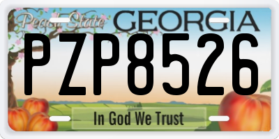 GA license plate PZP8526