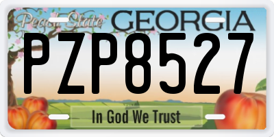 GA license plate PZP8527