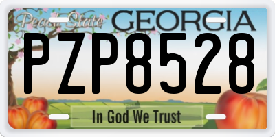 GA license plate PZP8528