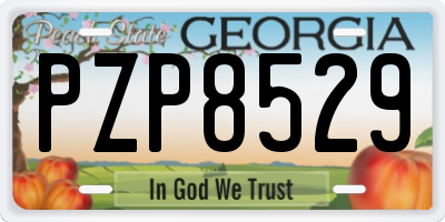 GA license plate PZP8529