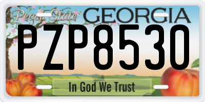 GA license plate PZP8530