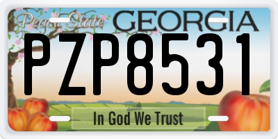 GA license plate PZP8531