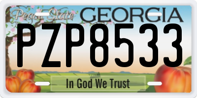GA license plate PZP8533