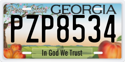 GA license plate PZP8534
