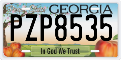 GA license plate PZP8535