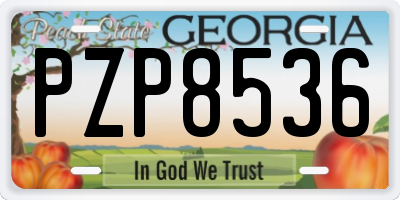 GA license plate PZP8536
