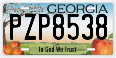 GA license plate PZP8538