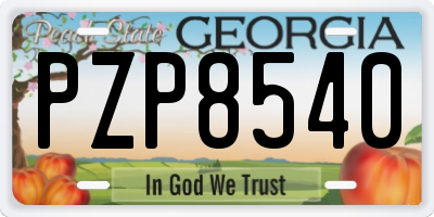 GA license plate PZP8540