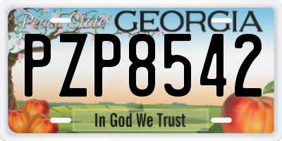 GA license plate PZP8542
