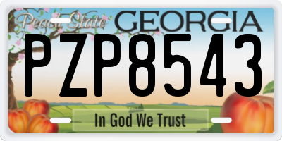 GA license plate PZP8543