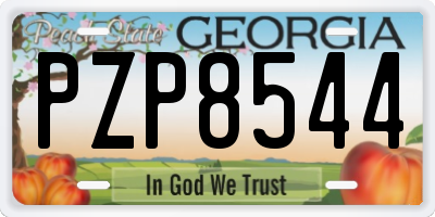 GA license plate PZP8544