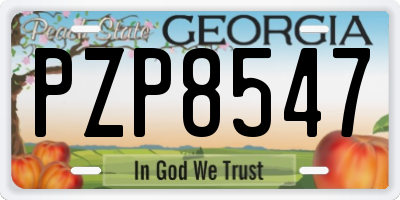 GA license plate PZP8547