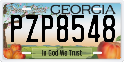 GA license plate PZP8548