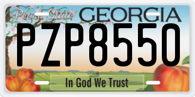 GA license plate PZP8550
