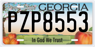 GA license plate PZP8553