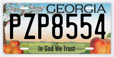 GA license plate PZP8554