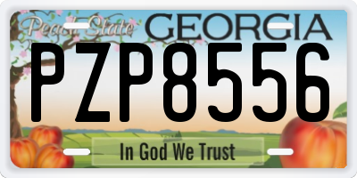 GA license plate PZP8556