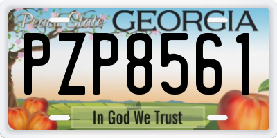 GA license plate PZP8561