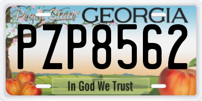 GA license plate PZP8562