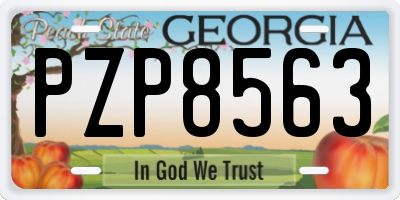 GA license plate PZP8563