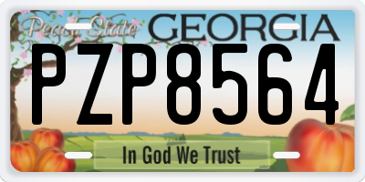 GA license plate PZP8564