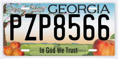 GA license plate PZP8566