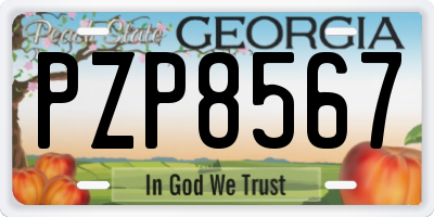 GA license plate PZP8567