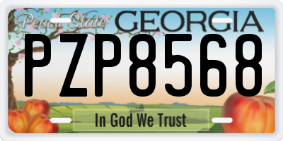 GA license plate PZP8568