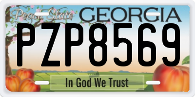 GA license plate PZP8569