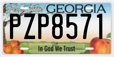GA license plate PZP8571