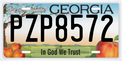GA license plate PZP8572