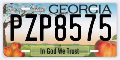 GA license plate PZP8575