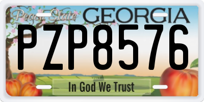 GA license plate PZP8576