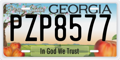 GA license plate PZP8577