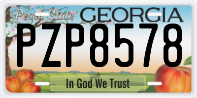 GA license plate PZP8578