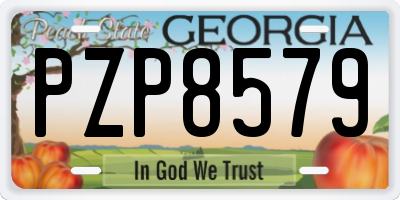 GA license plate PZP8579