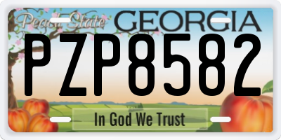 GA license plate PZP8582