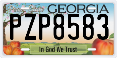 GA license plate PZP8583